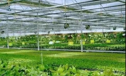 &#112;&#112;&#30005;&#23376;&#40;&#20013;&#22269;&#28216;&#41;&#23448;&#26041;&#22312;&#32447;&#24179;&#21488;