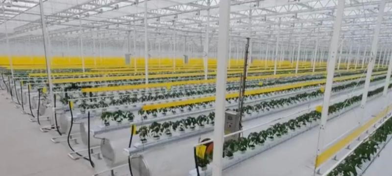 &#112;&#112;&#30005;&#23376;&#40;&#20013;&#22269;&#28216;&#41;&#23448;&#26041;&#22312;&#32447;&#24179;&#21488;