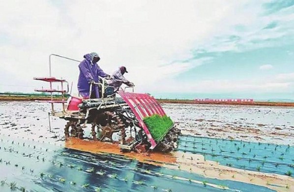 &#112;&#112;&#30005;&#23376;&#40;&#20013;&#22269;&#28216;&#41;&#23448;&#26041;&#22312;&#32447;&#24179;&#21488;