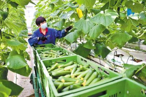 &#112;&#112;&#30005;&#23376;&#40;&#20013;&#22269;&#28216;&#41;&#23448;&#26041;&#22312;&#32447;&#24179;&#21488;